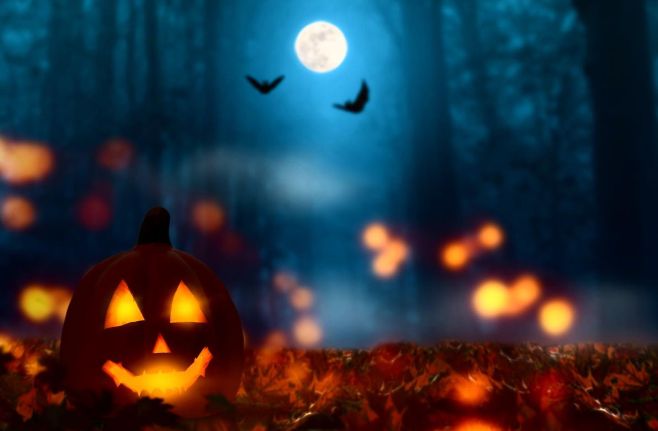 Trick or trest 🎃 DarkAngel Vám nadělil 20% slevu na skladové zboží, platí pouze dnes 31.10.2022. Stačí v košíku zadat...